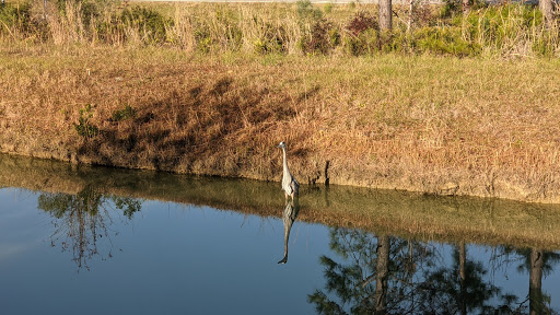 Department Store «Walmart Supercenter», reviews and photos, 2751 Beaver Run Blvd, Surfside Beach, SC 29575, USA