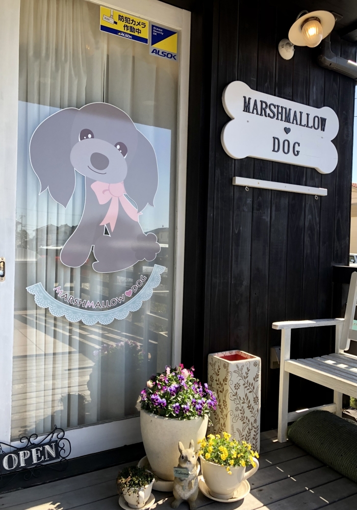 MARSHMALLOW・DOG（マシュマロ ドッグ）