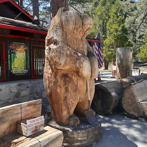The Bear