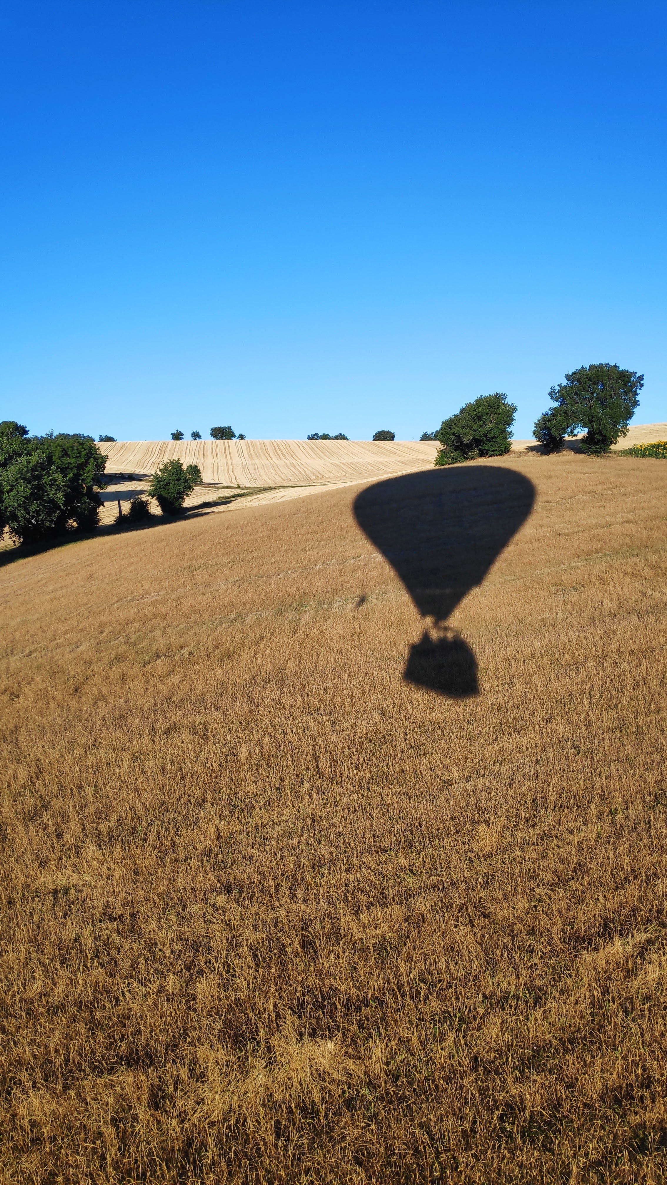 Photo n° 1 de l'avis de Thierry.o fait le 18/07/2020 à 13:35