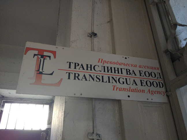 Отзиви за Транслингва ЕООД в Варна - Преводач