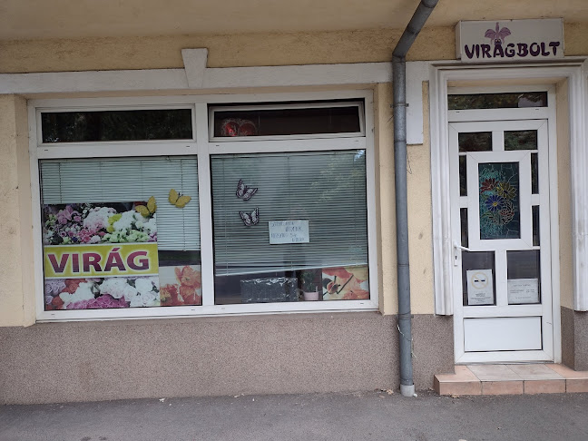 Debrecen, Poroszlay út 55, 4032 Magyarország