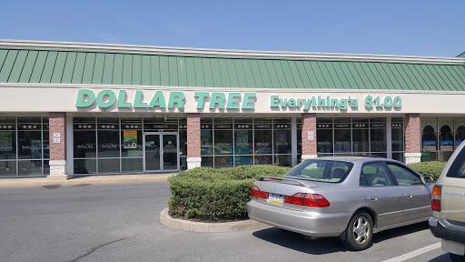 Dollar Store «Dollar Tree», reviews and photos, 1832 Leithsville Rd, Hellertown, PA 18055, USA