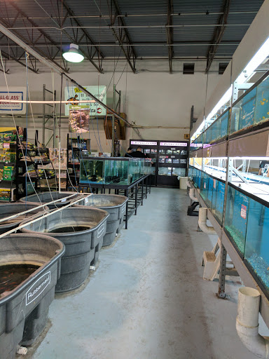 Tropical Fish Store «RMS Aquaculture», reviews and photos, 6629 Engle Rd # 108, Cleveland, OH 44130, USA