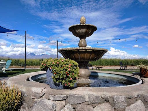 Vineyard «Rio Grande Vineyard & Winery», reviews and photos, 5321 NM-28, Las Cruces, NM 88005, USA