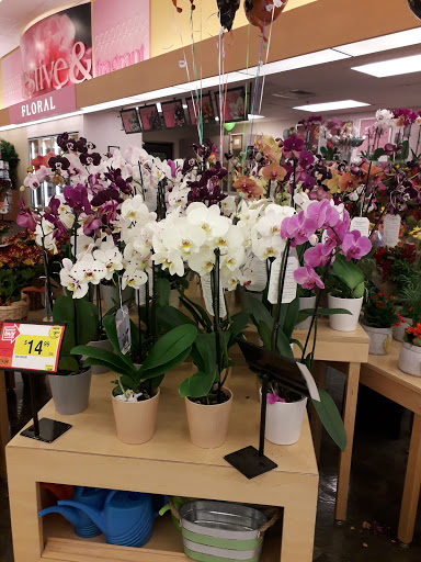 Grocery Store «Stop & Shop», reviews and photos, 930 N Colony Rd, Wallingford, CT 06492, USA