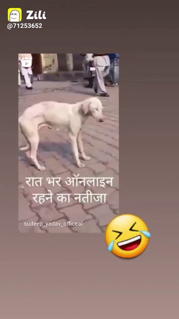 रेगर समाज ओलेडिया भैरू जी जामा जी का समेलिया