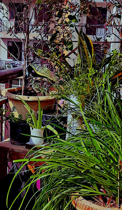 Google Maps image 24