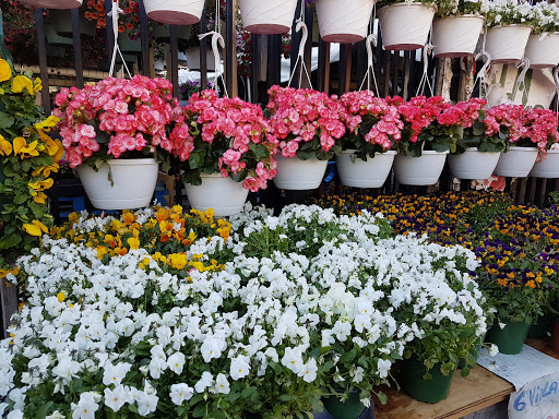 Produce Market «Hudson Farmers Market», reviews and photos, 3437 John F. Kennedy Blvd, Jersey City, NJ 07307, USA