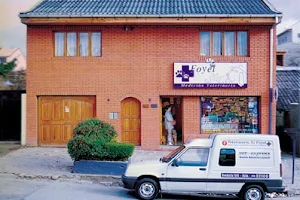 Foyel veterinary medicine image