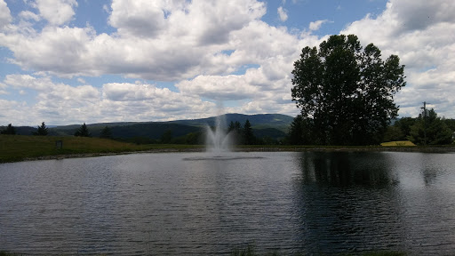 Public Golf Course «Valley View Golf Club», reviews and photos, 4638 US Hwy 220, Moorefield, WV 26836, USA