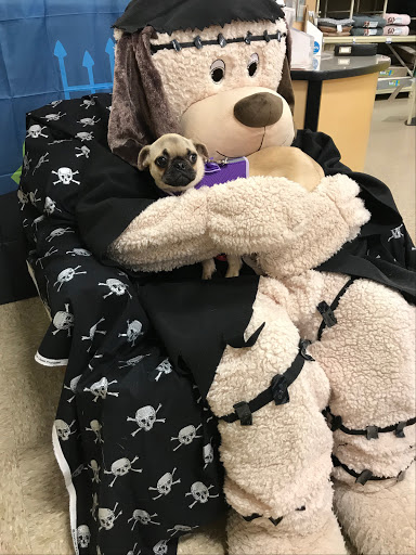 Pet Supply Store «PetSmart», reviews and photos, 5873 Spout Springs Rd, Flowery Branch, GA 30542, USA