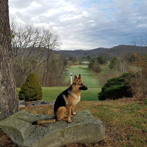 Country Club «Greenhills Country Club», reviews and photos, Old Rte 56, Ravenswood, WV 26164, USA