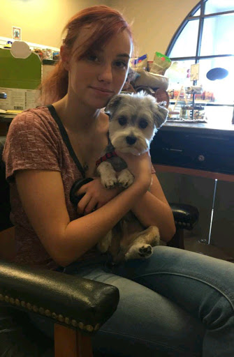 Pet Groomer «Spoiled Petz Pet Store and Grooming», reviews and photos, 12030 Donner Pass Rd #1, Truckee, CA 96161, USA