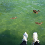 Photo n°2 de l'avis de Shakiba.a fait le 29/07/2019 à 22:56 sur le  Villa am See à Hagnau am Bodensee