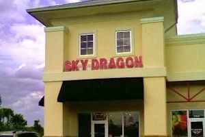 Sky Dragon Chinese Restaurant image