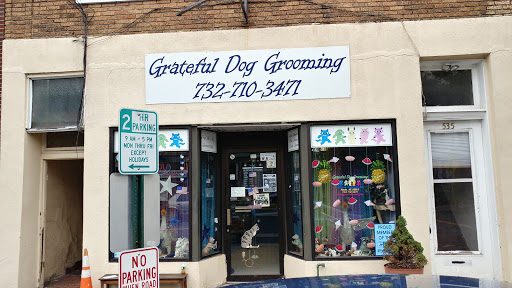 Grateful Dog Grooming