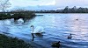Sligo Kayak Club Logo, Sligo A Ɛyɛ Mmerɛw, Ireland, Sports Club