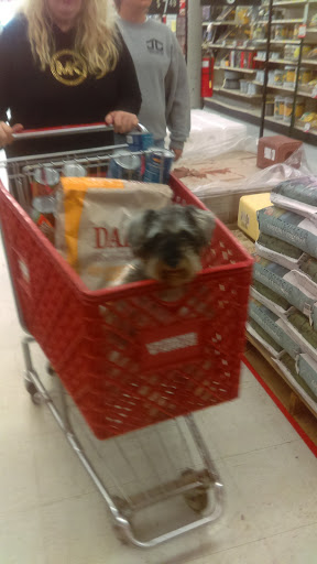 Home Improvement Store «Tractor Supply Co.», reviews and photos, 1551 4th St, Graham, TX 76450, USA