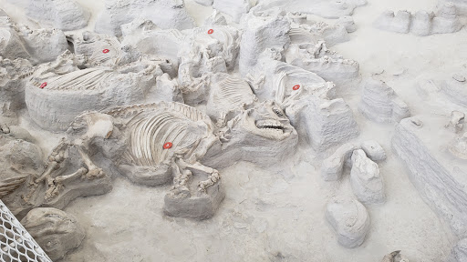 Ashfall Fossil Beds State Historical Park - AZexplained