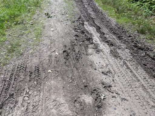 Golf Course «William J. Devine Golf Course at Franklin Park», reviews and photos, 1 Circuit Dr, Dorchester, MA 02121, USA