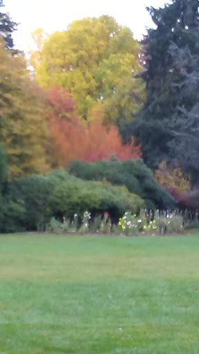 Park «Volunteer Park», reviews and photos, 1247 15th Ave E, Seattle, WA 98112, USA