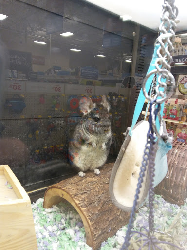 Pet Supply Store «PetSmart», reviews and photos, 8660 Airline Hwy, Baton Rouge, LA 70815, USA