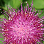 Photo n°6 de l'avis de Jessica.l fait le 17/06/2018 à 13:17 sur le  Val Vertova Roset à Vertova