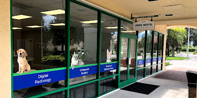 Delray Beach Animal Hospital - Veterinarian Delray Beach