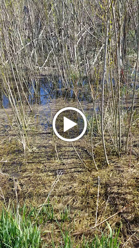 Nature Preserve «Rock Run Preserve - Black Road Access», reviews and photos, Black Rd, Joliet, IL 60431, USA