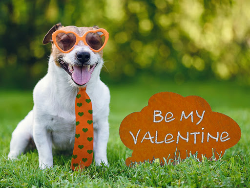 Moving Company «College Hunks Hauling Junk and Moving», reviews and photos, 1200 E Oakland Ave, Lansing, MI 48906, USA