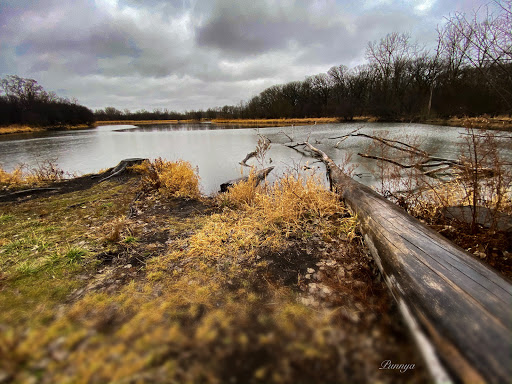 Nature Preserve «Penny Road Pond», reviews and photos, Penny Rd, Barrington, IL 60010, USA