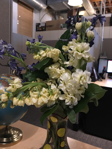 Florist «Flower Patch», reviews and photos, 4370 300 W, Salt Lake City, UT 84107, USA