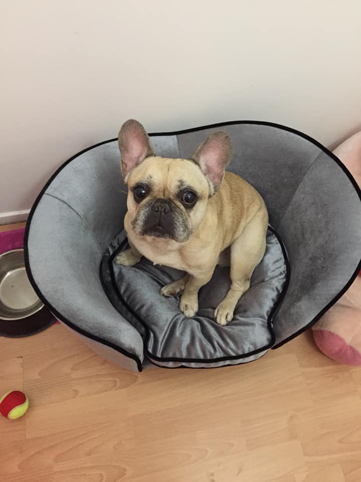 Photo n° 2 de l'avis de Maryse.a fait le 07/08/2019 à 14:51