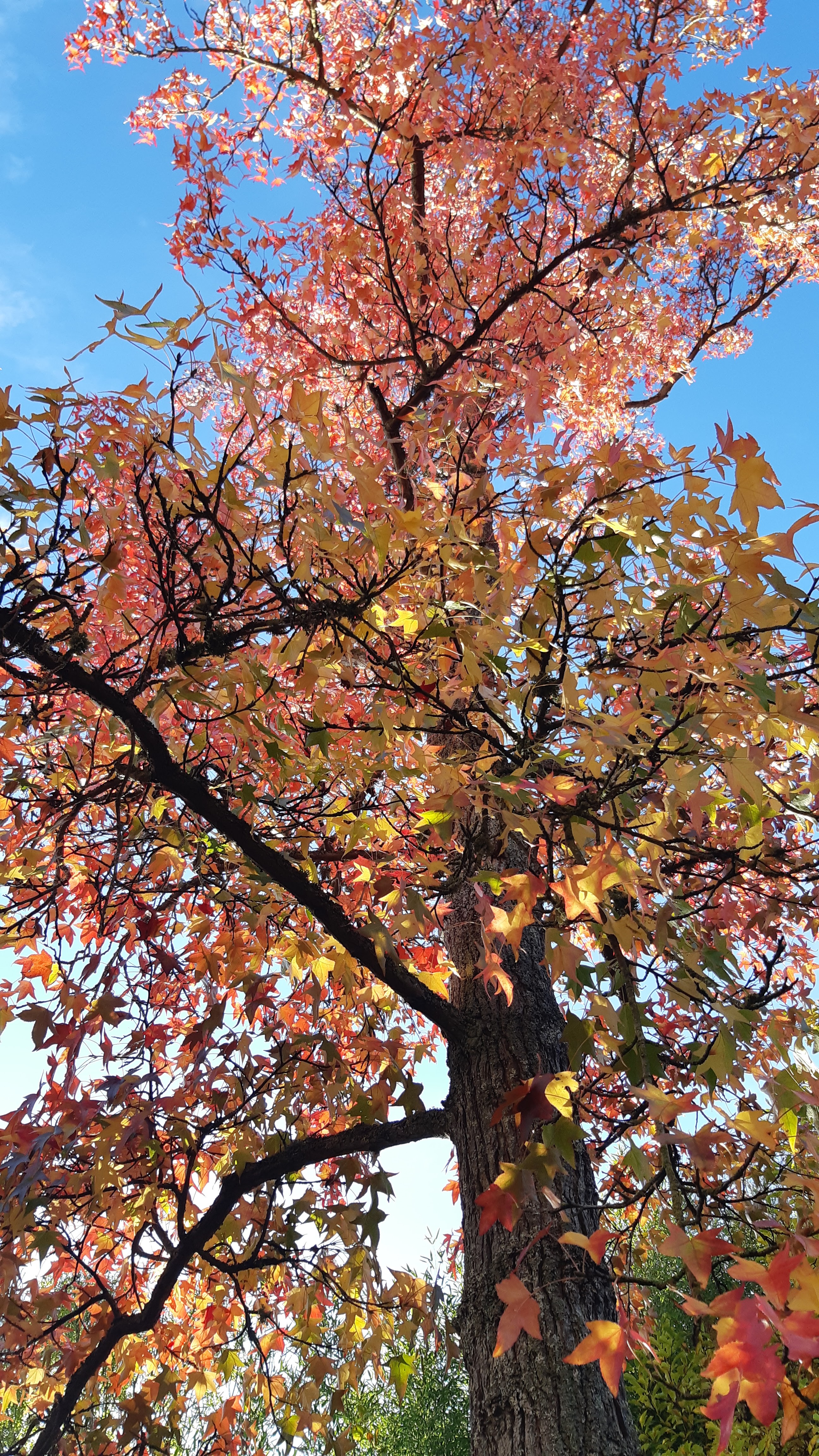 Photo n° 8 de l'avis de Jeanine.i fait le 02/11/2021 à 13:30