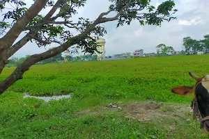 Gauradaha Lake image