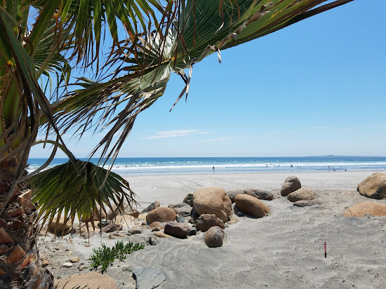 Playa El Pabellon