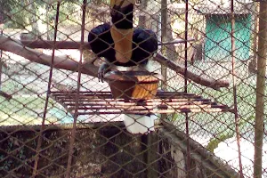 Phang Nga Wildlife Animal Sanctuary image