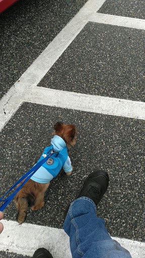 Pet Supply Store «Petco Animal Supplies», reviews and photos, 45205 Worth Ave, California, MD 20619, USA