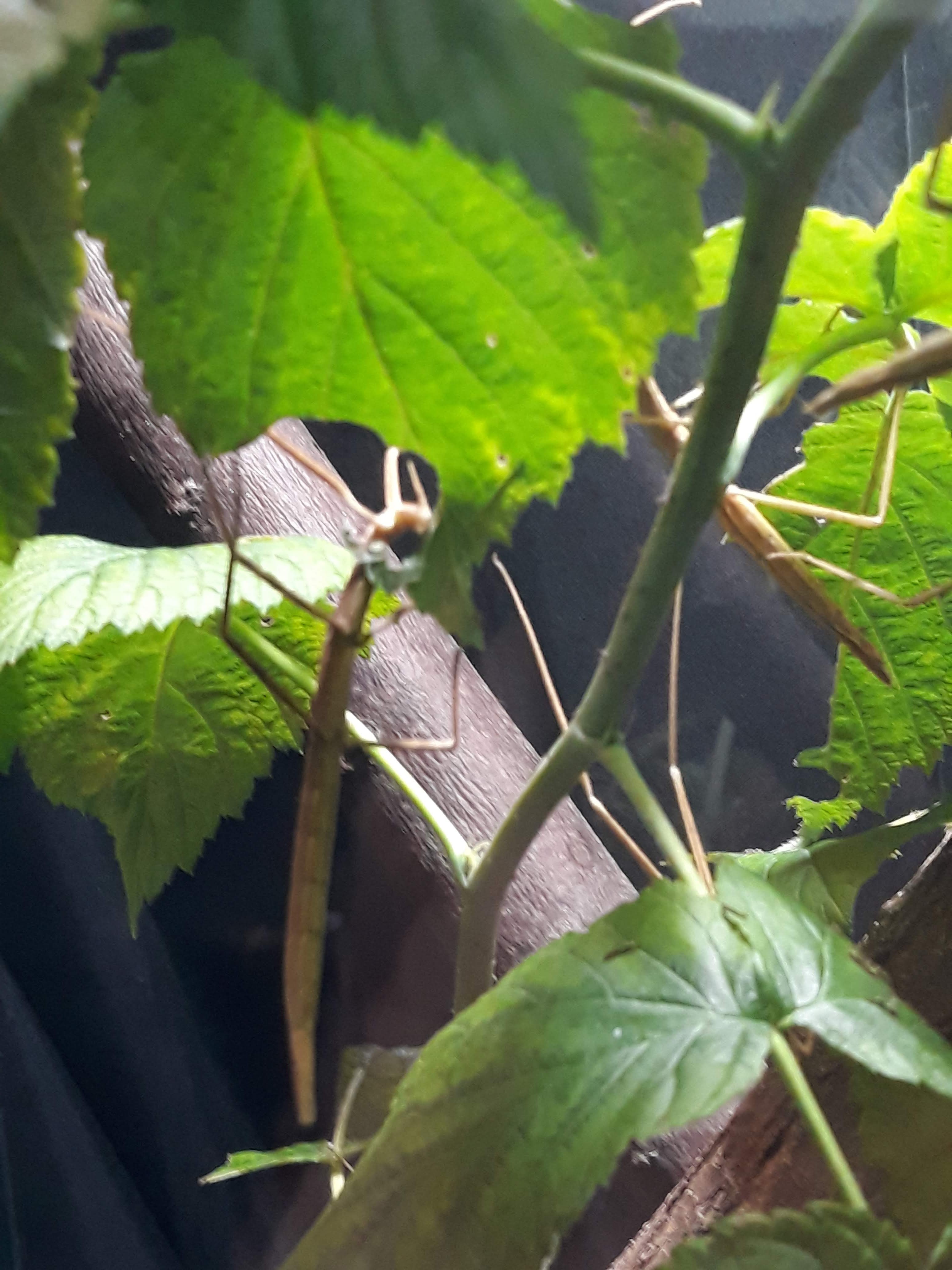 Photo n° 19 de l'avis de Ludo.a fait le 30/08/2021 à 17:15