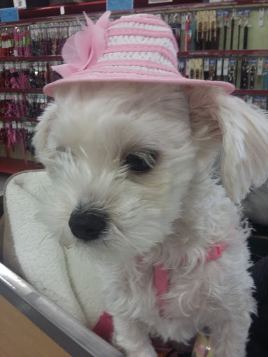 Pet Supply Store «Petco Animal Supplies», reviews and photos, 990 Brook Forest Ave, Shorewood, IL 60431, USA