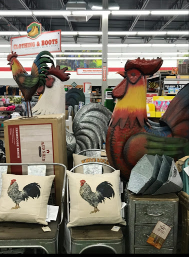 Home Improvement Store «Tractor Supply Co.», reviews and photos, 401 Middlesex Turnpike, Old Saybrook, CT 06475, USA
