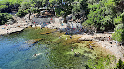 Mrtvo More Beach'in fotoğrafı düz bir kıyı şeridi ile birlikte