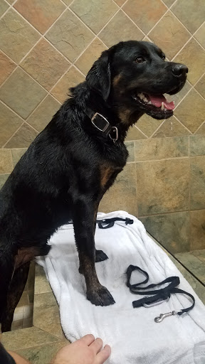 Pet Store «Pet Valu», reviews and photos, 24995 Riding Plaza, Chantilly, VA 20151, USA