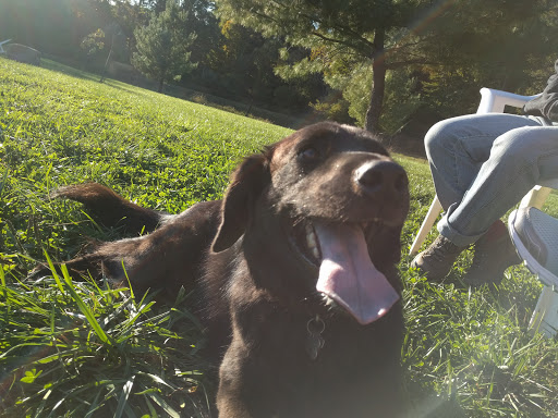 Dog Park «Worthington Off Leash Dog Park», reviews and photos, 8170 Hillsborough Rd, Ellicott City, MD 21043, USA