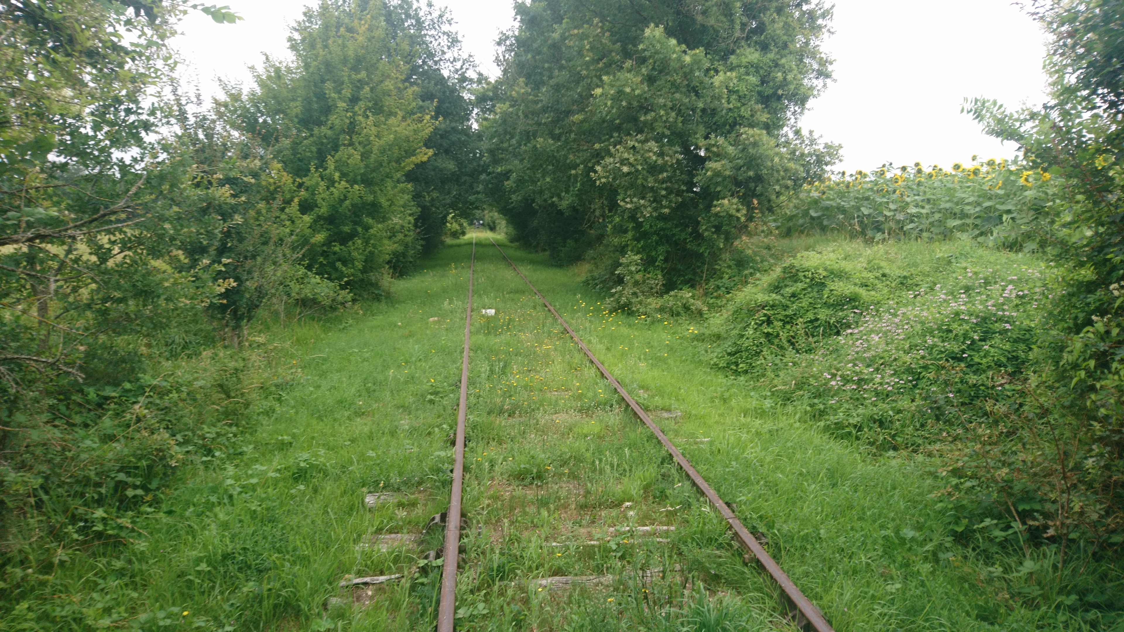 Photo n° 3 de l'avis de guillaume.e fait le 17/07/2021 à 18:40