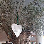 Photo n°5 de l'avis de Carry. fait le 03/07/2019 à 12:42 sur le  VAPIANO Duisburg Schifferstraße à Duisburg