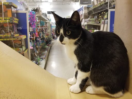Pet Supply Store «PetSmart», reviews and photos, 5610 S Broadway Ave, Tyler, TX 75703, USA