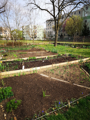 Értékelések erről a helyről: Makkosházi közösségi kert, Szeged - Kertészkedő