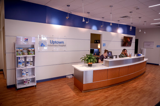 Uptown Veterinary Hospital